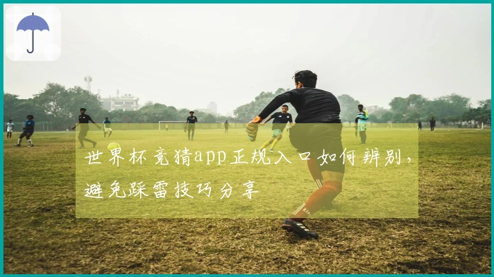 世界杯竞猜app正规入口如何辨别，避免踩雷技巧分享