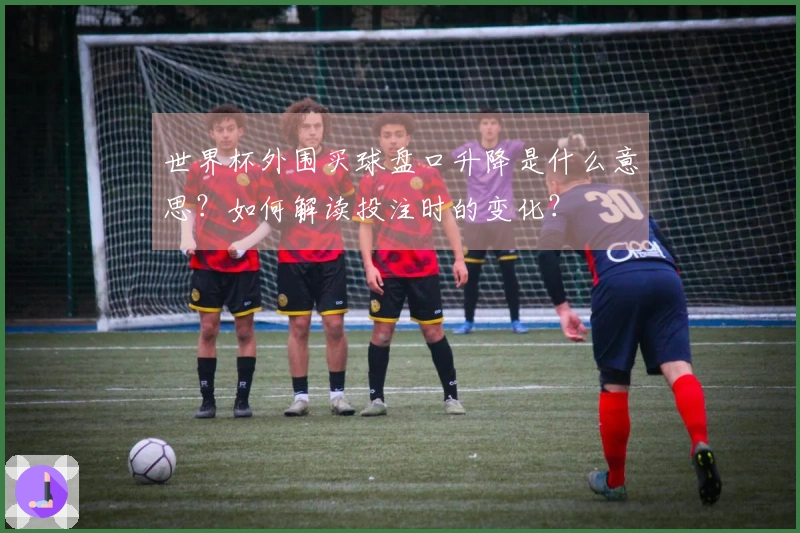 世界杯外围买球盘口升降是什么意思？如何解读投注时的变化？