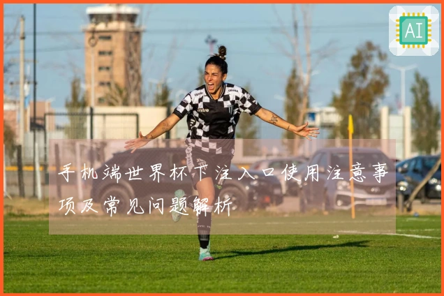 手机端世界杯下注入口使用注意事项及常见问题解析