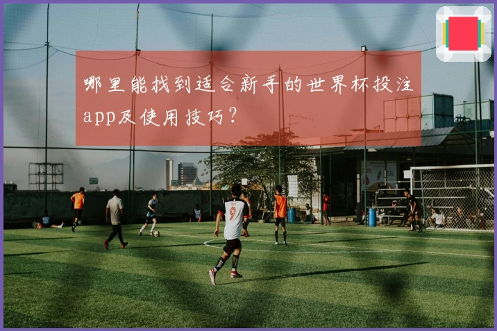 哪里能找到适合新手的世界杯投注app及使用技巧？