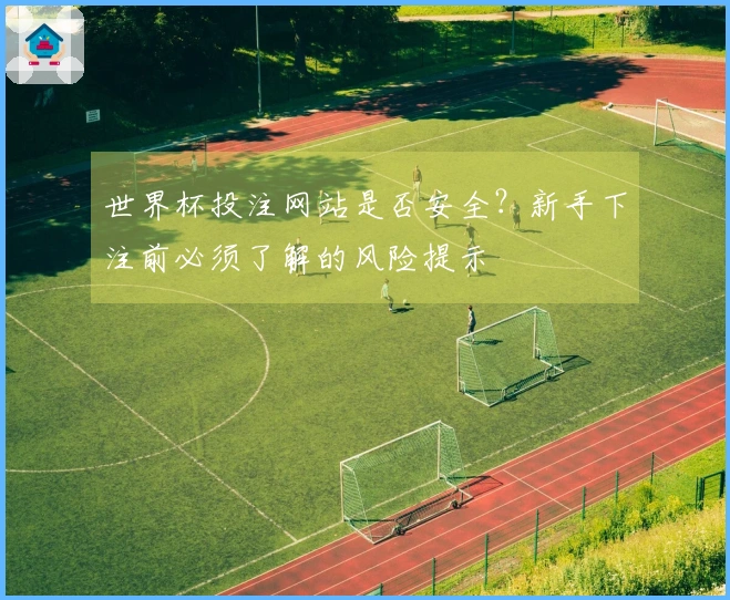 世界杯投注网站是否安全？新手下注前必须了解的风险提示
