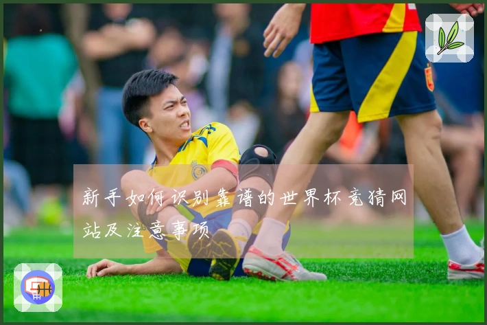 新手如何识别靠谱的世界杯竞猜网站及注意事项