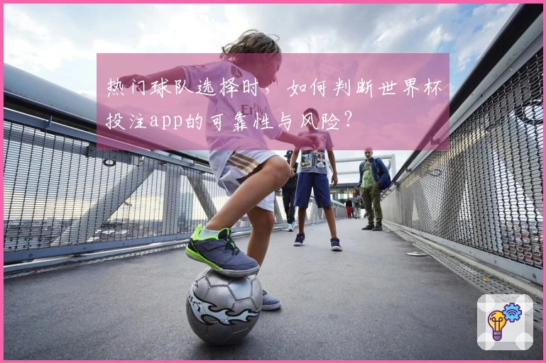 热门球队选择时，如何判断世界杯投注app的可靠性与风险？