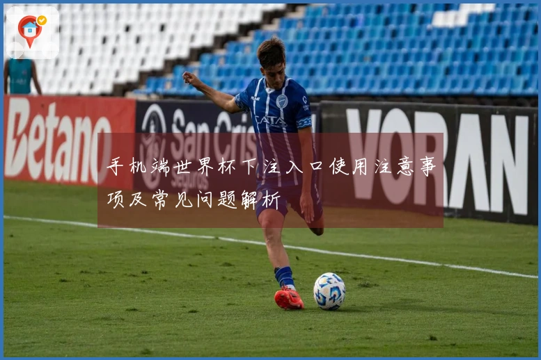 手机端世界杯下注入口使用注意事项及常见问题解析